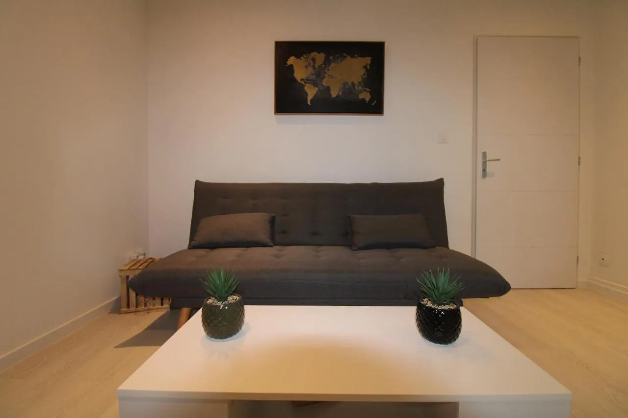 ● Le Bigourdan ● Sanctuaires - Calme - Wifi - Park Apartment Lourdes